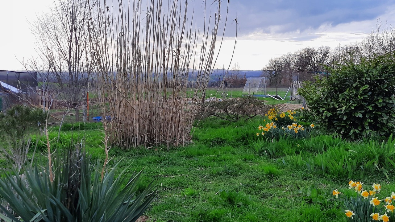 Photo of Outdoor in Pampelonne