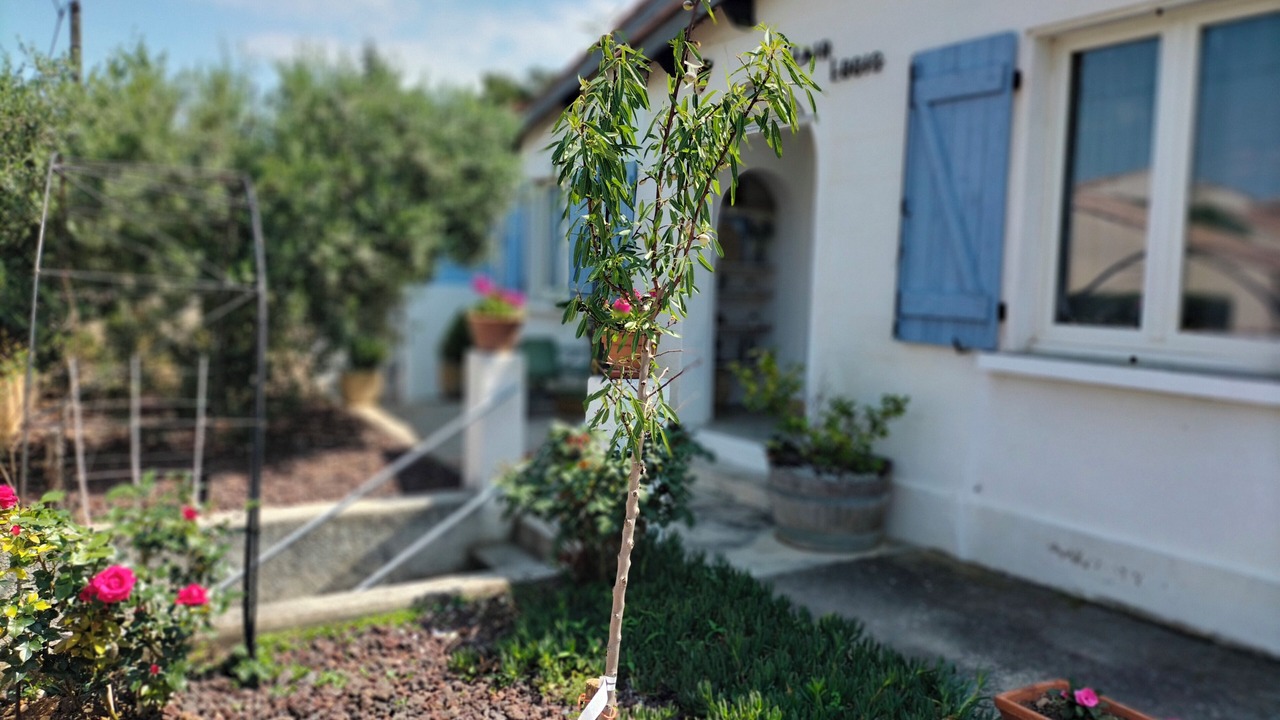 Photo of Outdoor in Saint-Andre-de-Sangonis