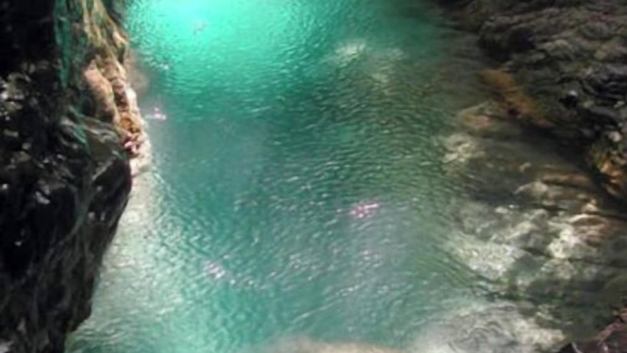 Photo of Outdoor in Reynes