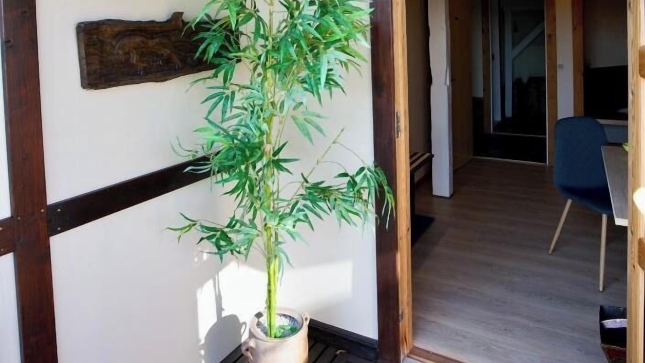 Photo of Others in Herning