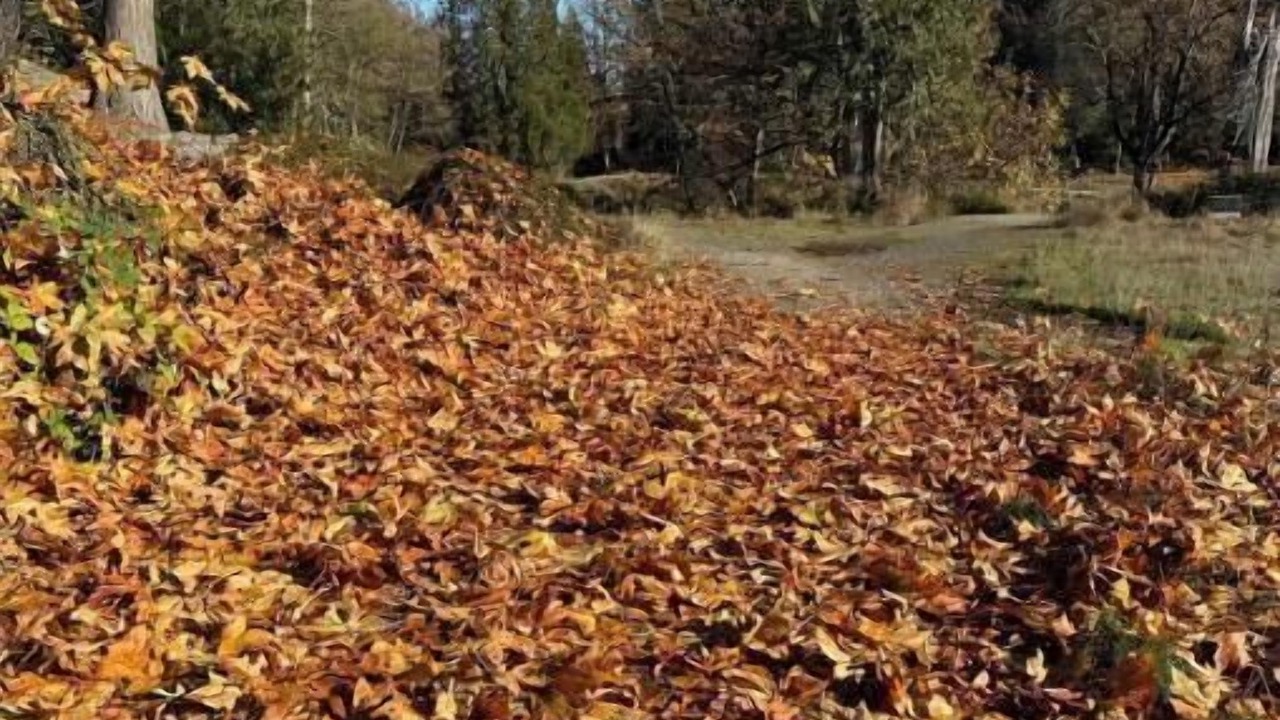 Photo of Others in Hockinson