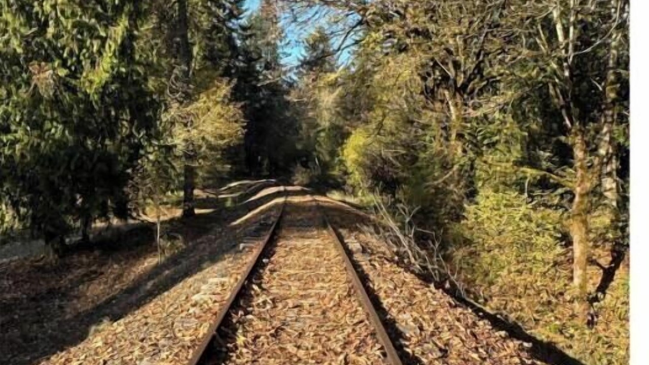 Photo of Others in Hockinson