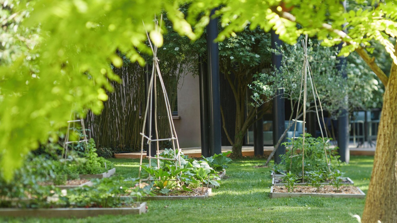 Photo of Outdoor in Saint-Lyphard