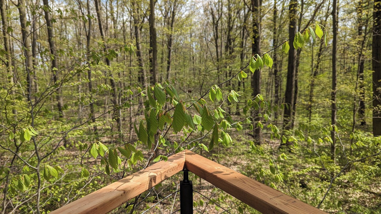 Photo of Outdoor in West Lincoln