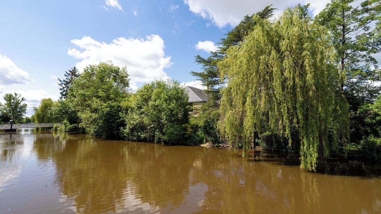 Photo of Others in Nort-sur-Erdre
