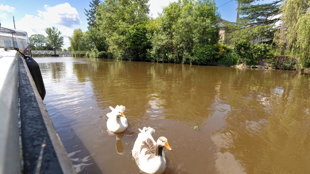 Photo of Outdoor in Nort-sur-Erdre