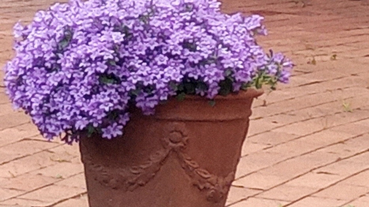 Photo of Outdoor in Argentona