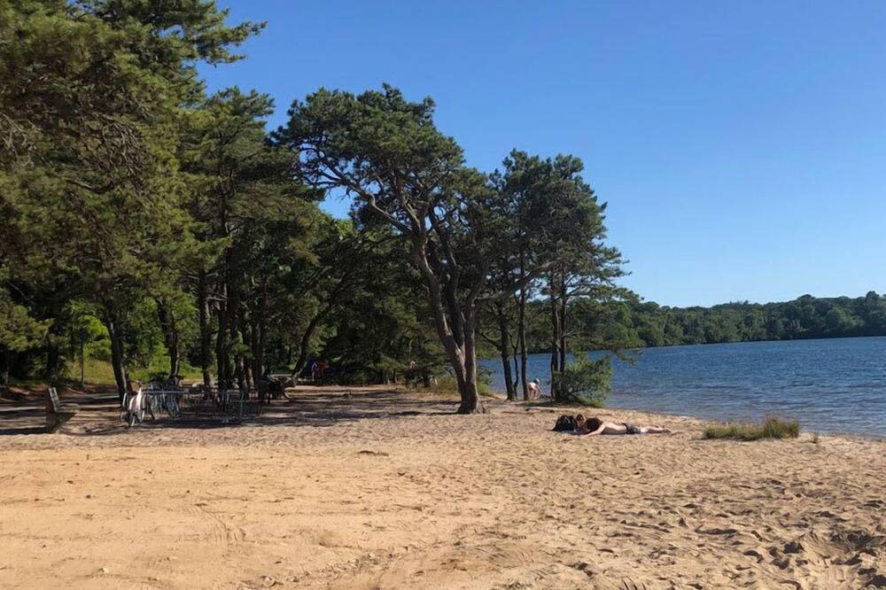 Photo of Others in Brewster