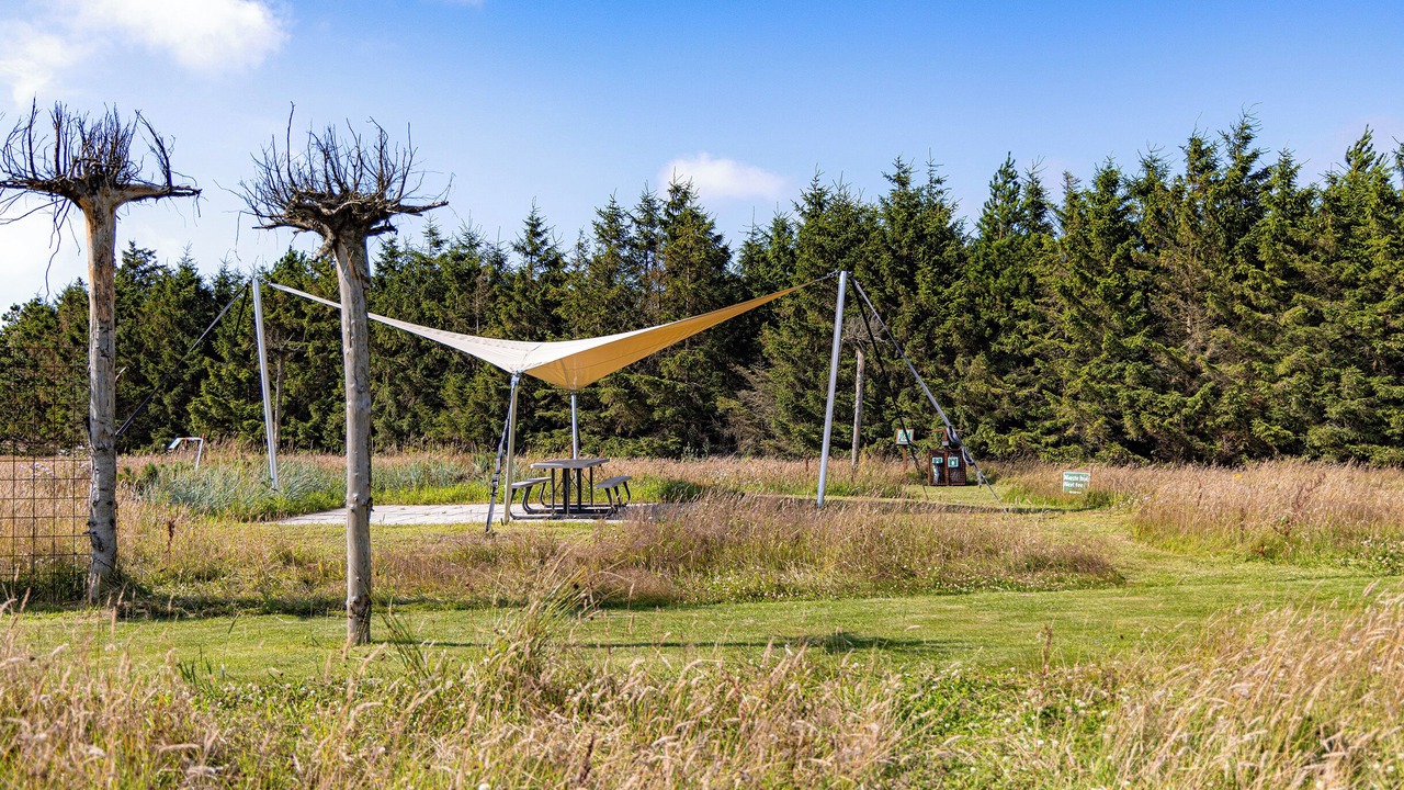 Photo of Outdoor in Blokhus