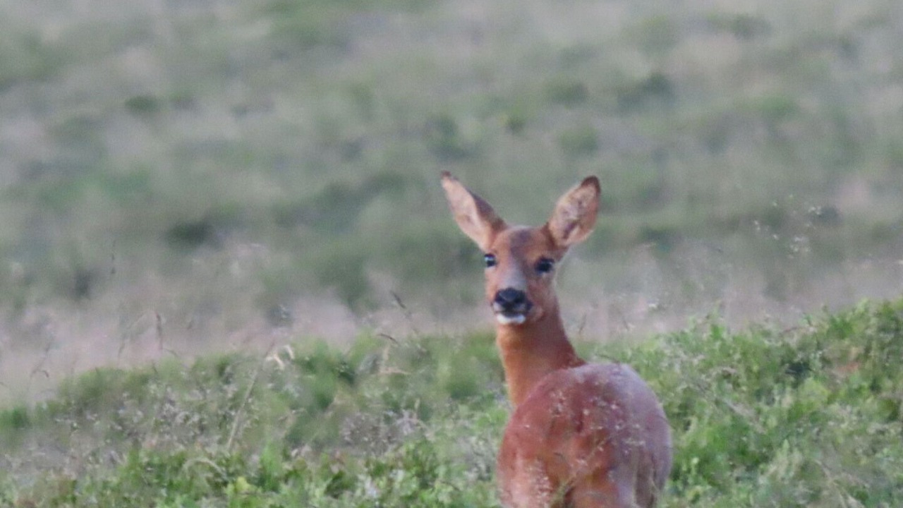 Photo of Outdoor in Soulan