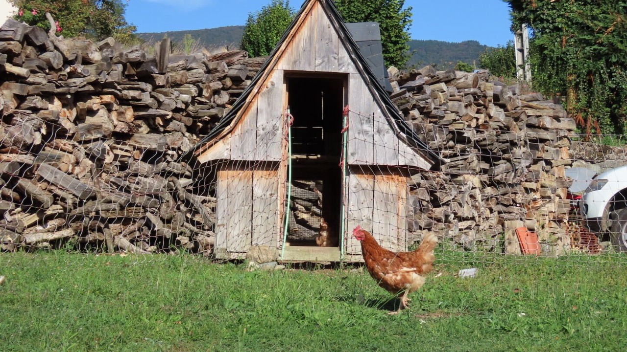 Photo of Outdoor in Soulan