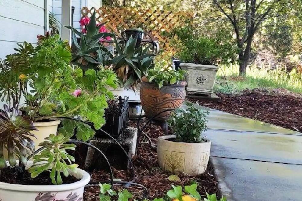 Photo of Outdoor in Cascade