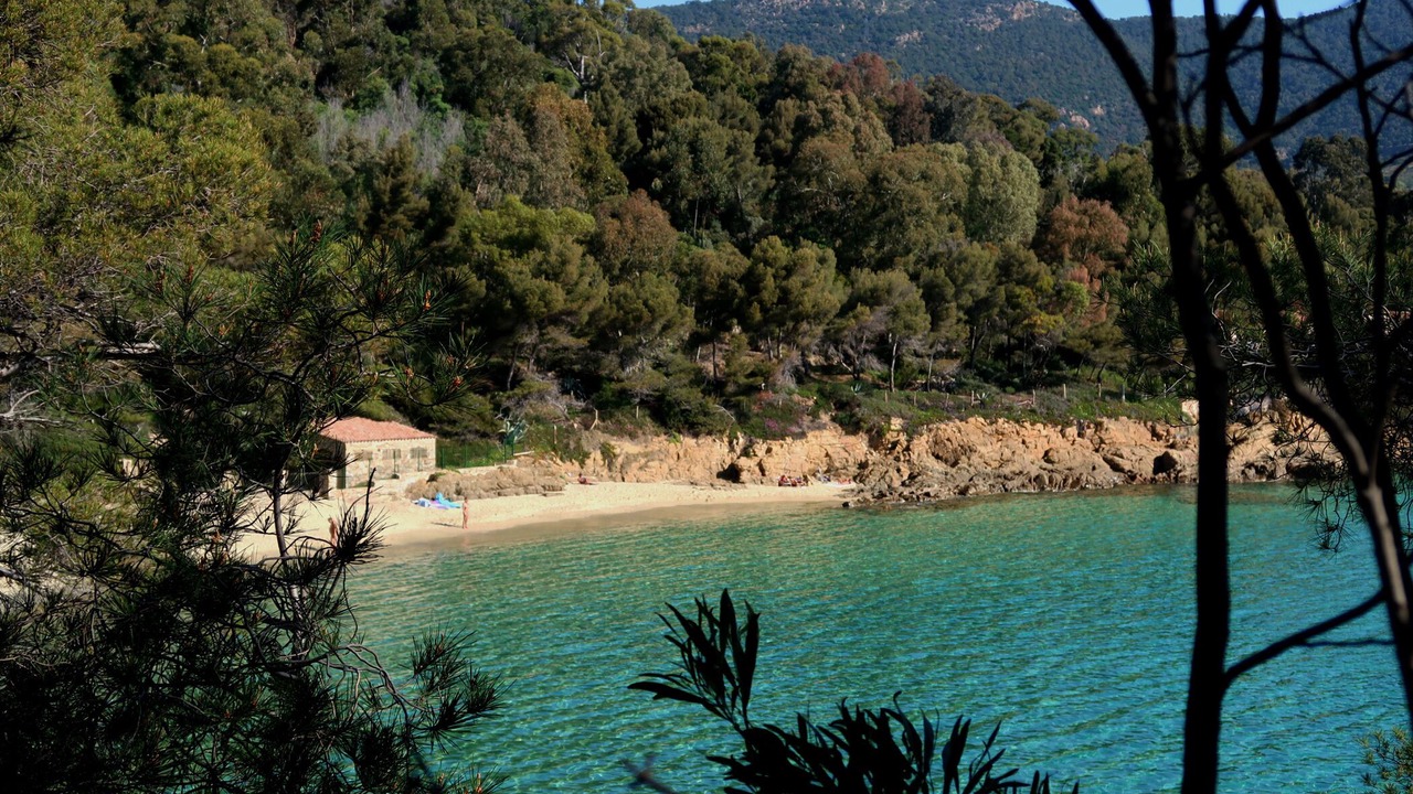 Photo of Others in Le Lavandou