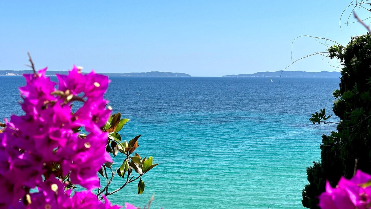 Photo of Others in Le Lavandou