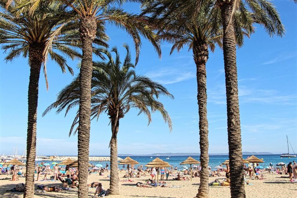 Photo of Others in Le Lavandou