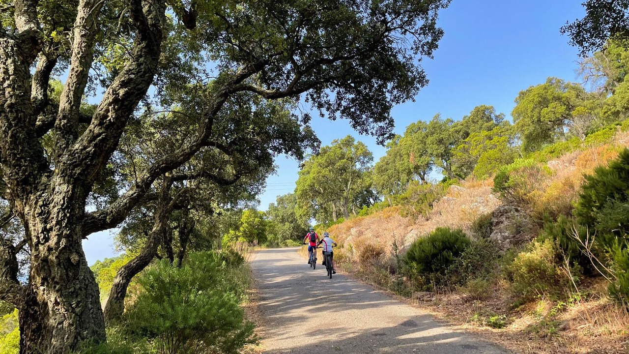 Photo of Outdoor in Le Lavandou