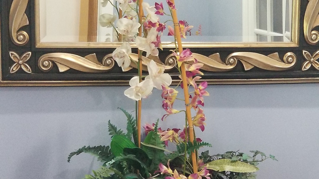 Photo of Others in Darnestown