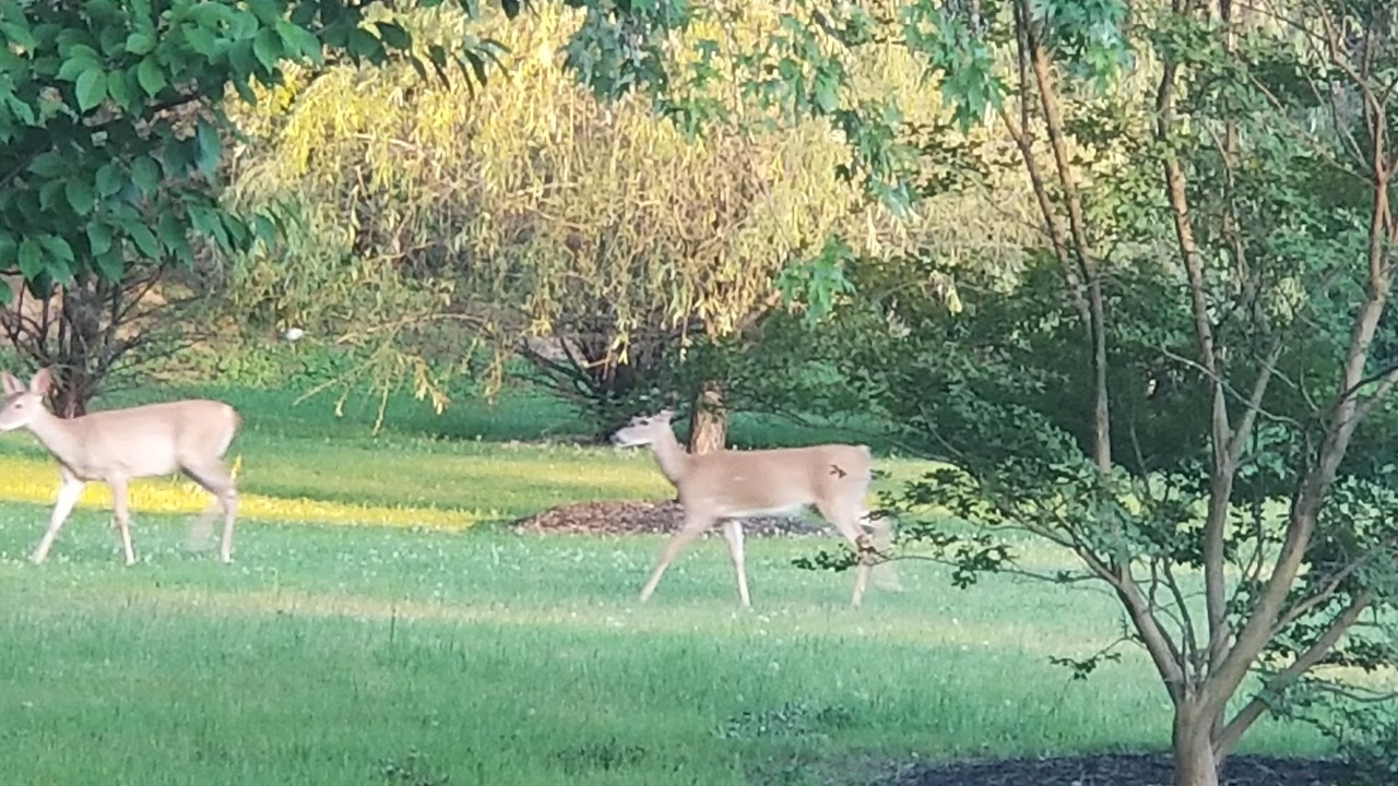 Photo of Outdoor in Darnestown