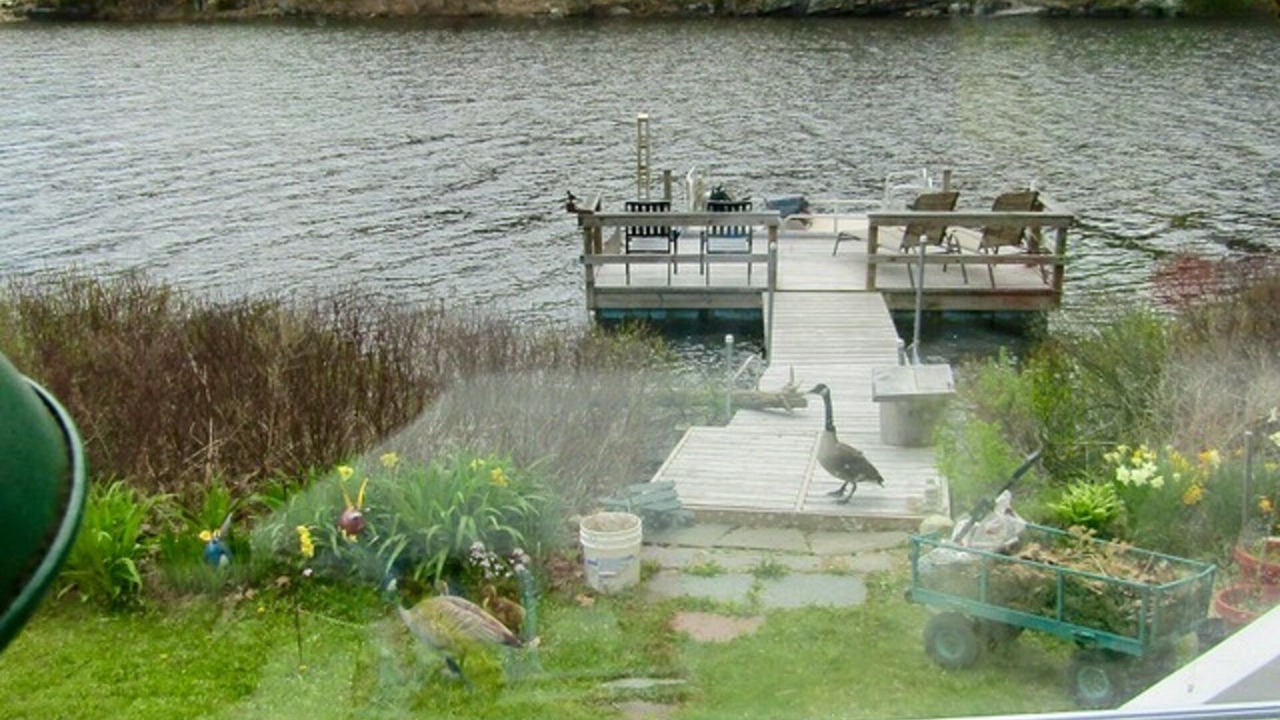 Photo of Outdoor in Boothbay