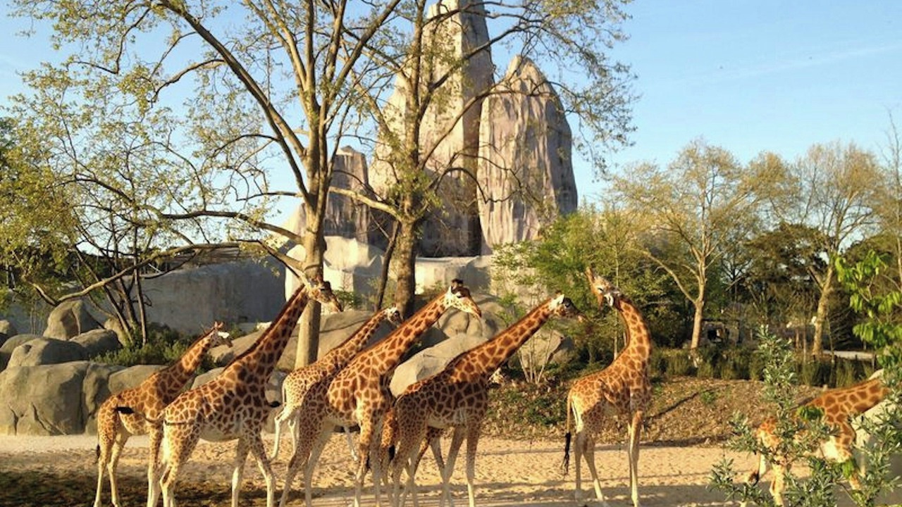 Photo of Outdoor in Montreuil