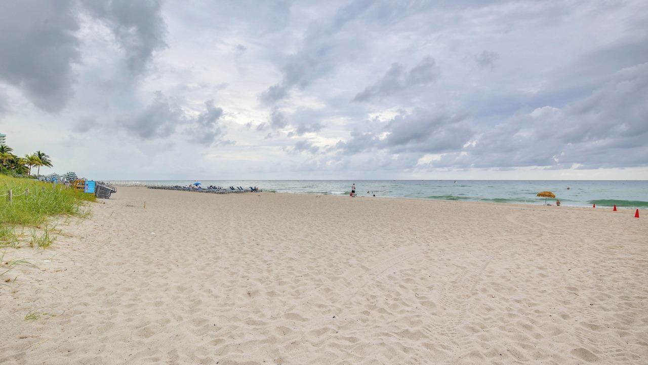 Photo of Others in Hallandale Beach