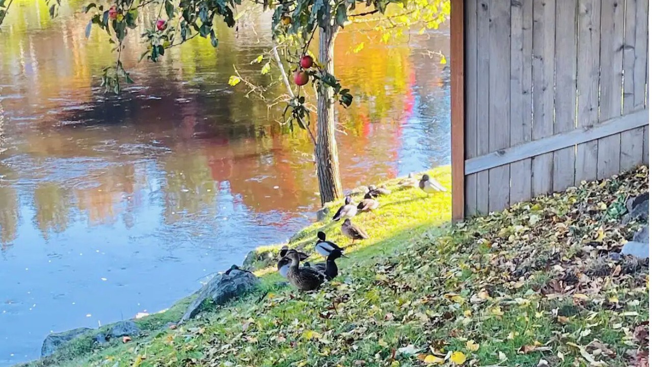 Photo of Outdoor in Bothell