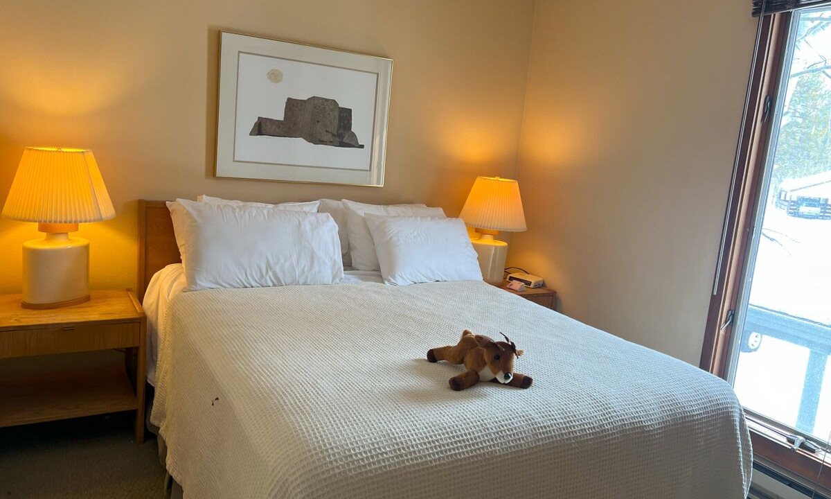 Photo of Others in Moose Wilson Road