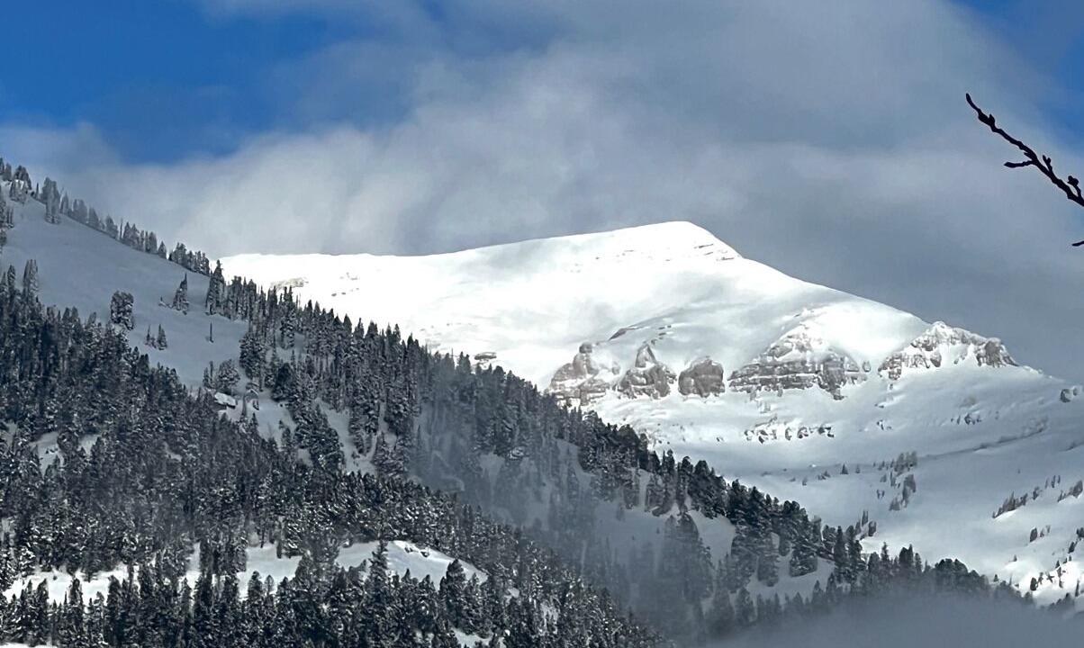 Photo of Others in Moose Wilson Road