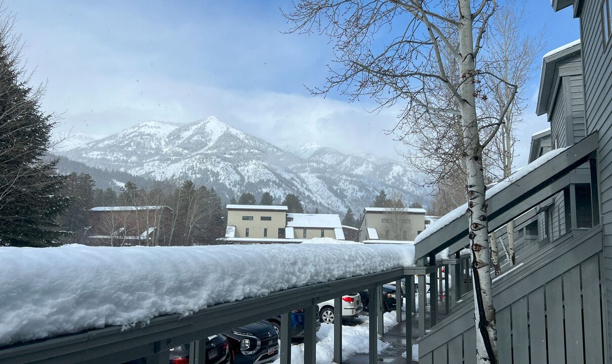 Photo of Outdoor in Moose Wilson Road