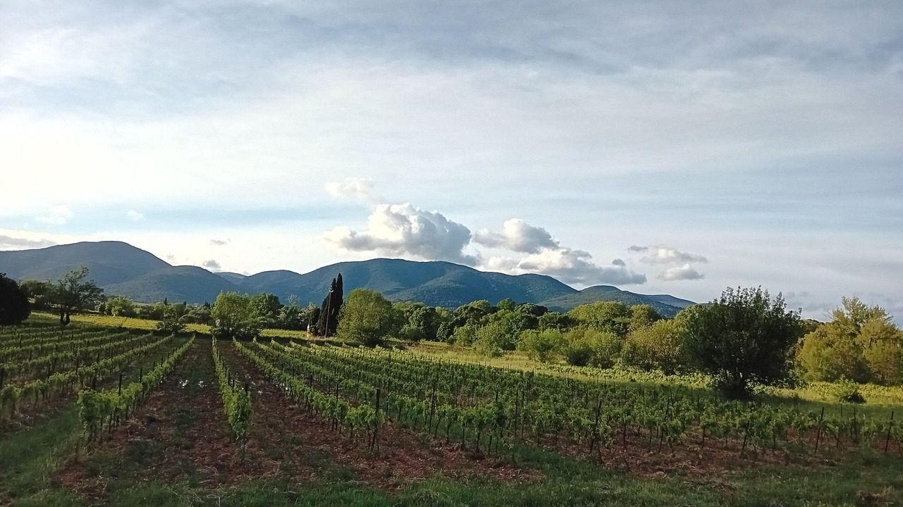 Photo of Outdoor in Saint-Chinian