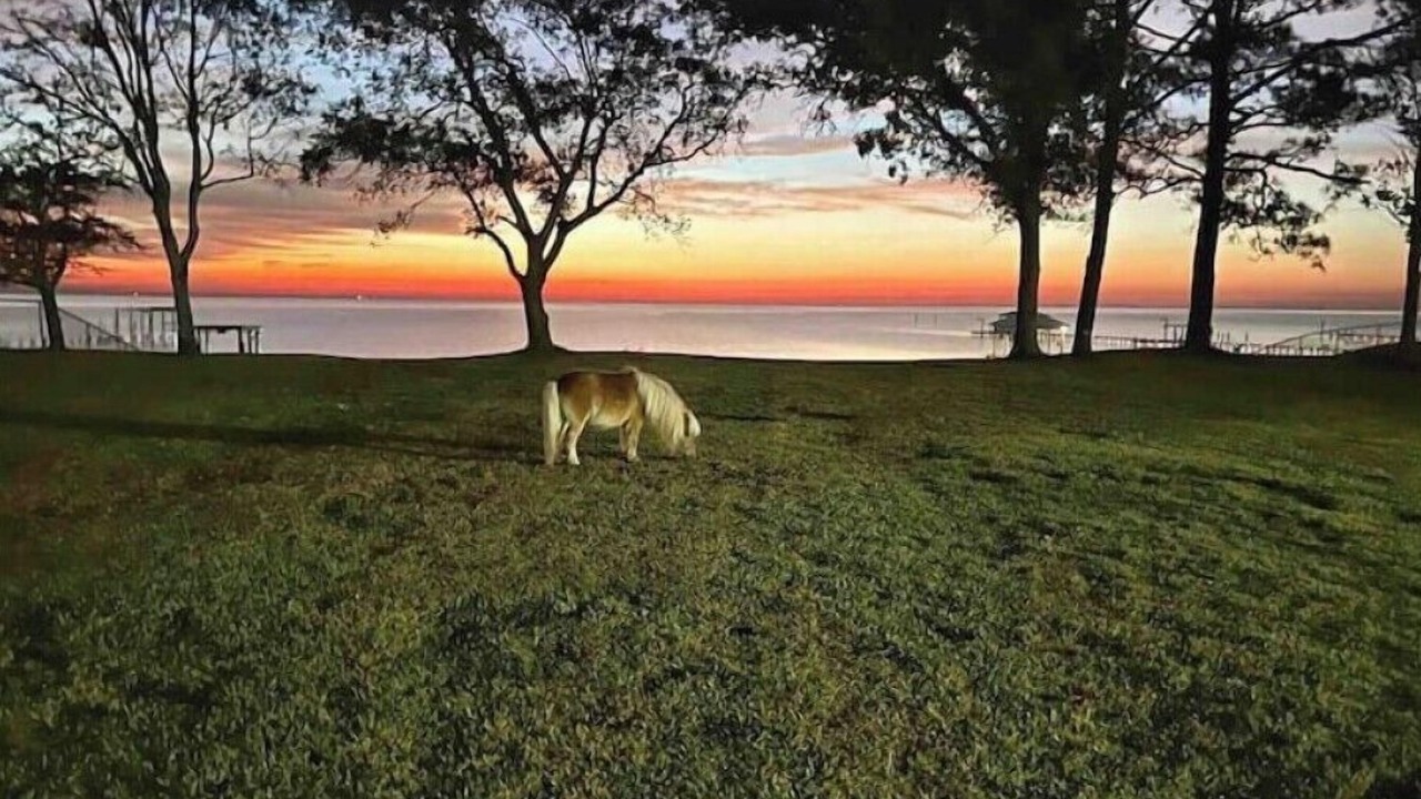 Photo of Outdoor in Barrett