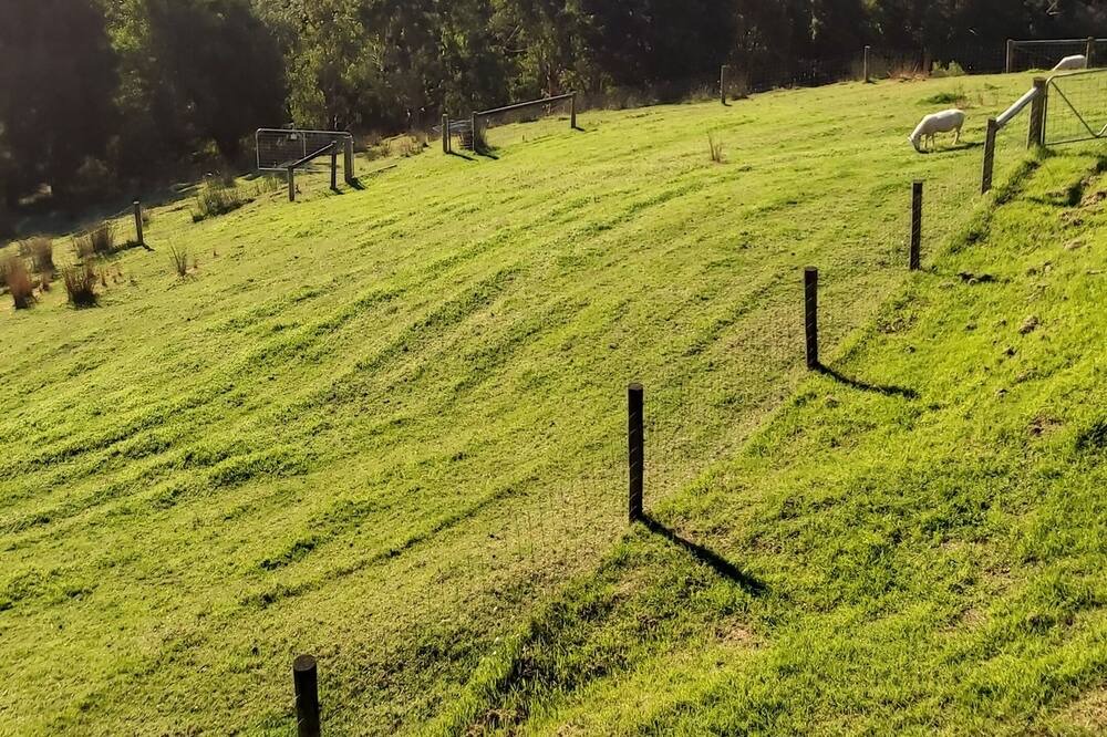 Photo of Outdoor in Apollo Bay