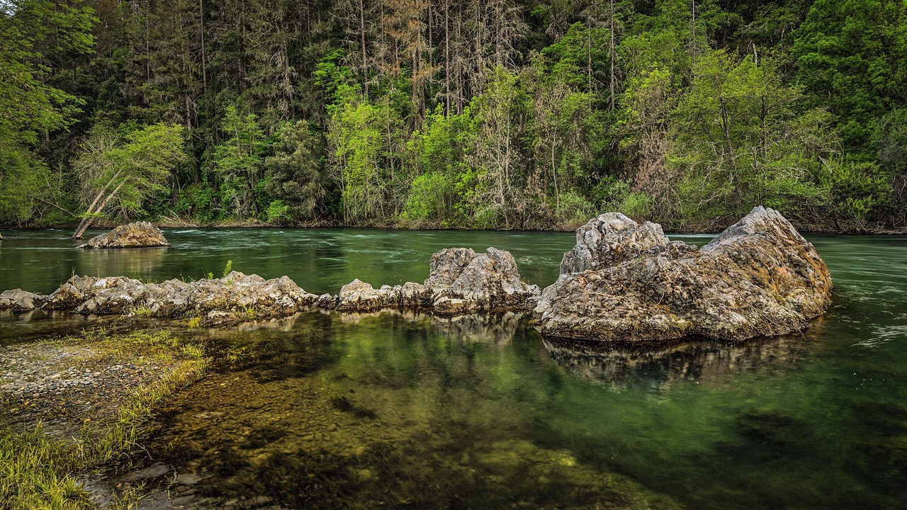 Photo of Outdoor in Douglas City