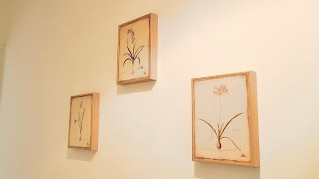 Photo of Others in Brierley Hill