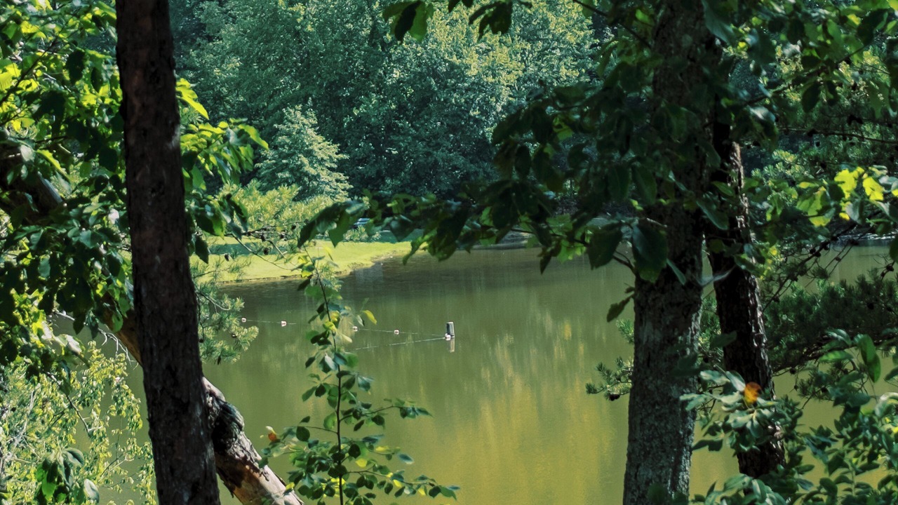 Photo of Outdoor in Delta