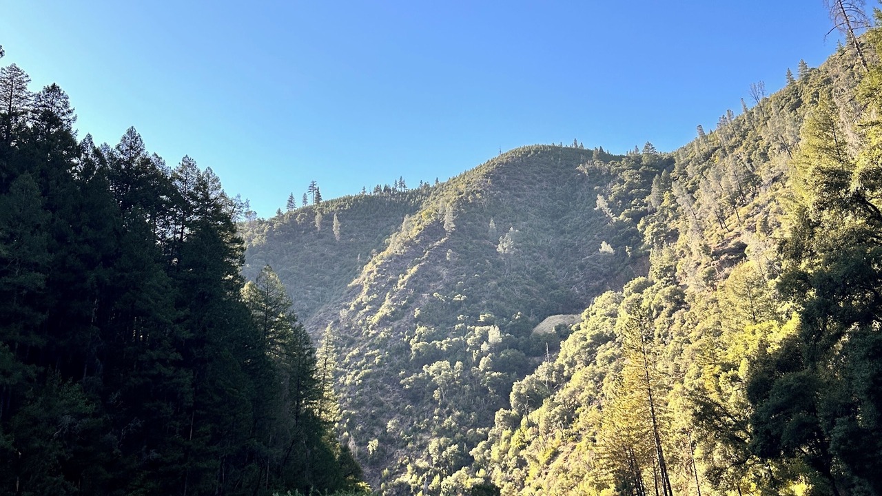 Photo of Others in Pollock Pines