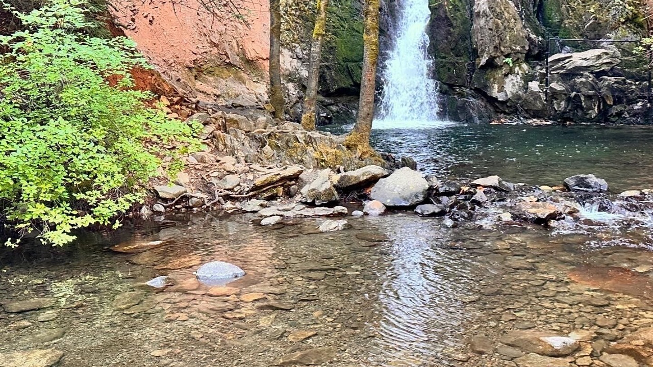 Photo of Others in Pollock Pines