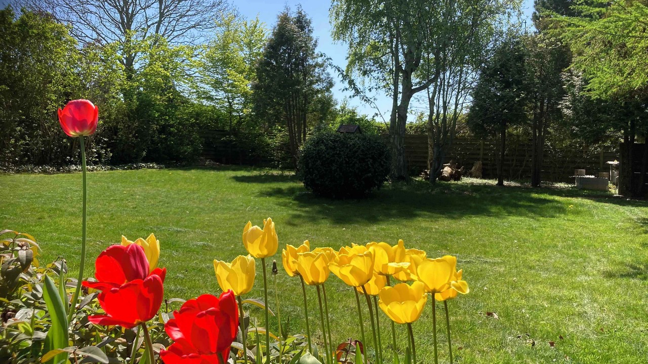 Photo of Outdoor in Strøby Egede
