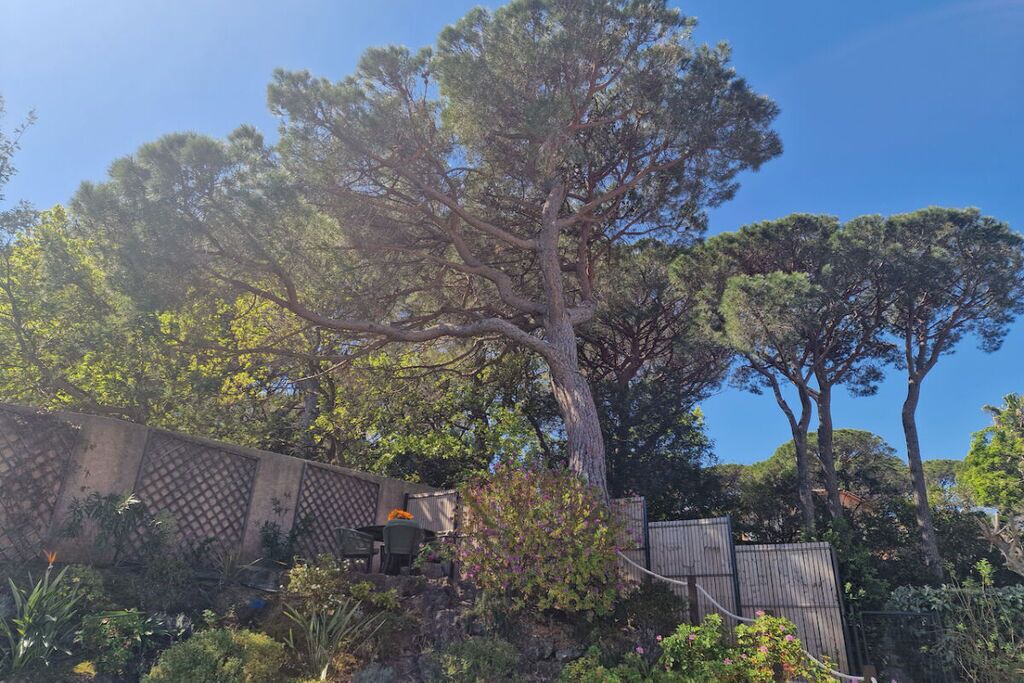 Photo of Outdoor in Plage de la Garonnette