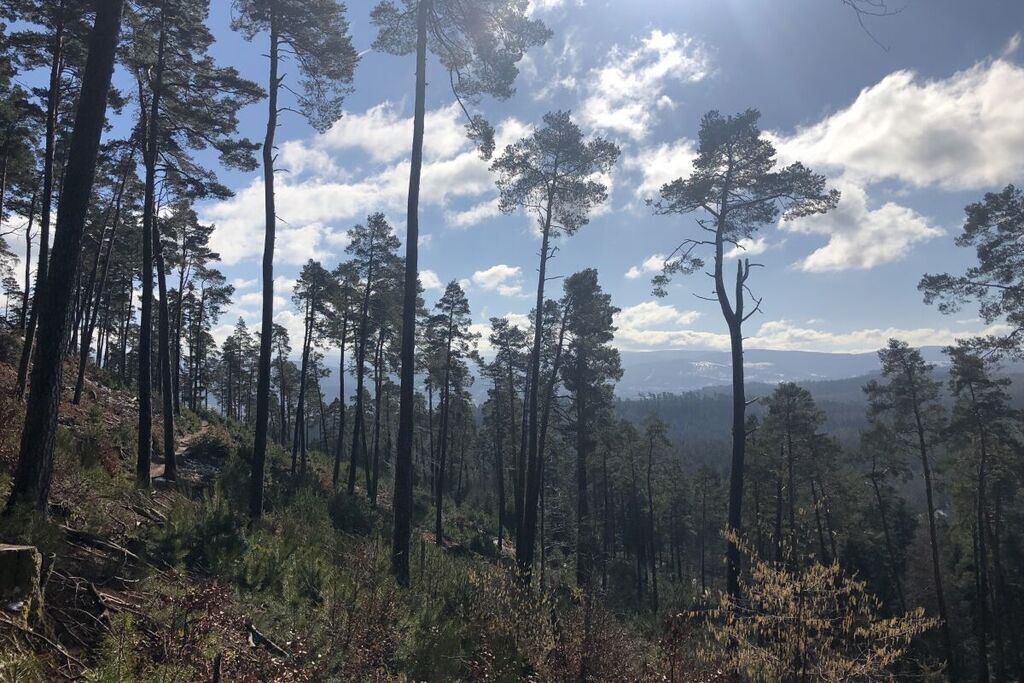 Photo of Outdoor in Taintrux