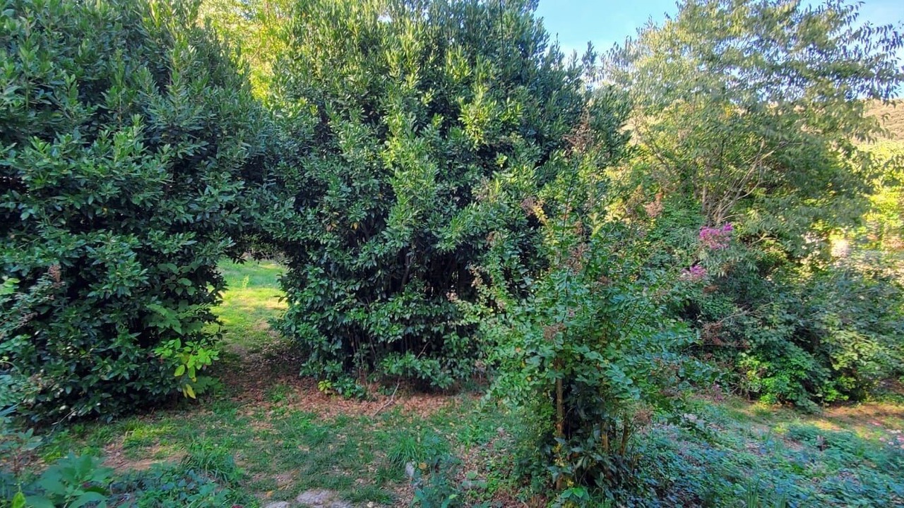 Photo of Outdoor in Montferrer