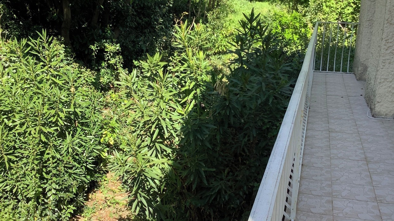 Photo of Outdoor in Montferrer