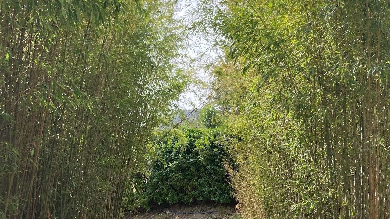 Photo of Outdoor in Montferrer
