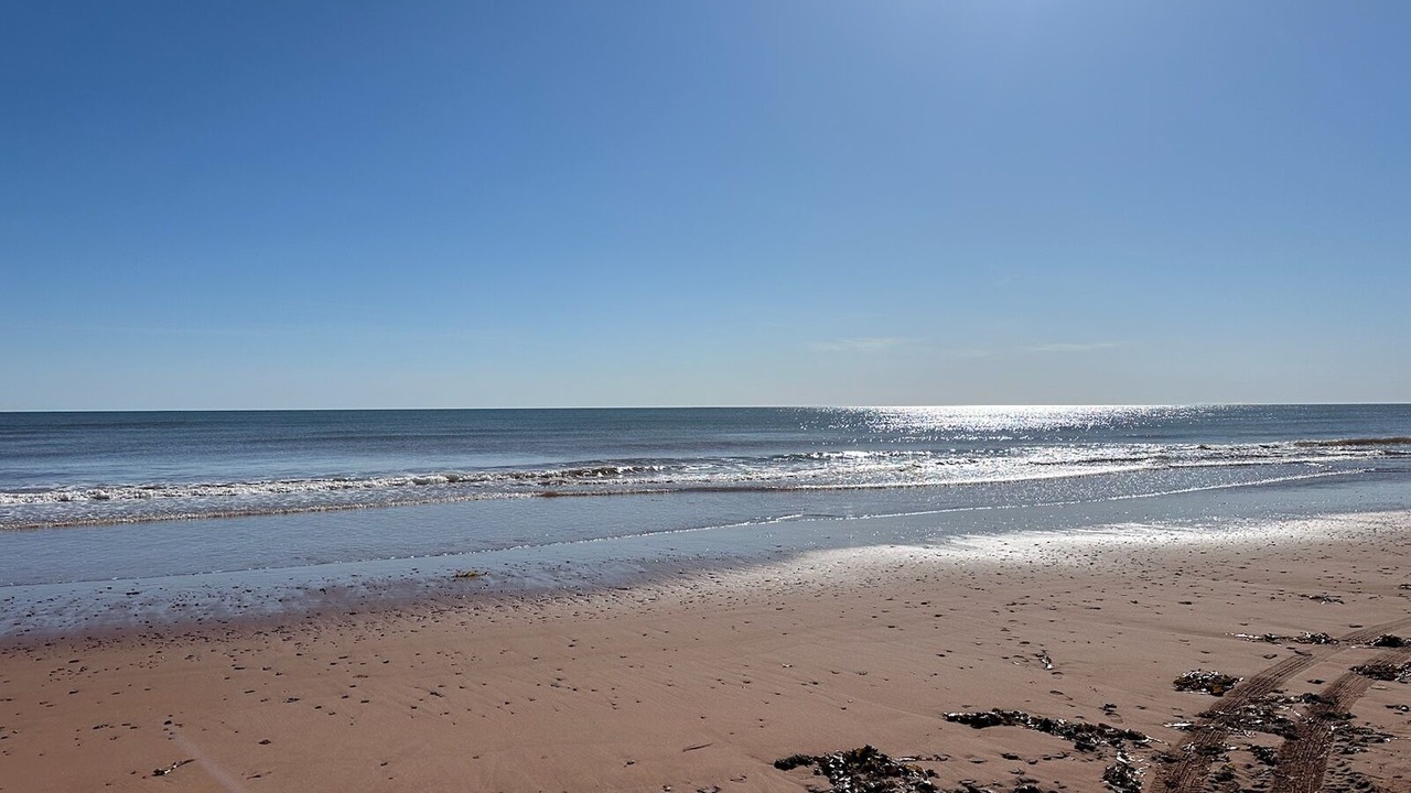 Photo of Others in Tignish