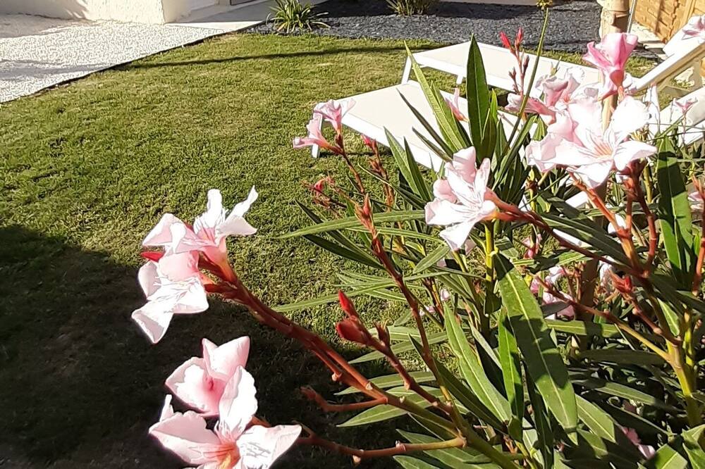 Photo of Outdoor in Authon-Ebeon