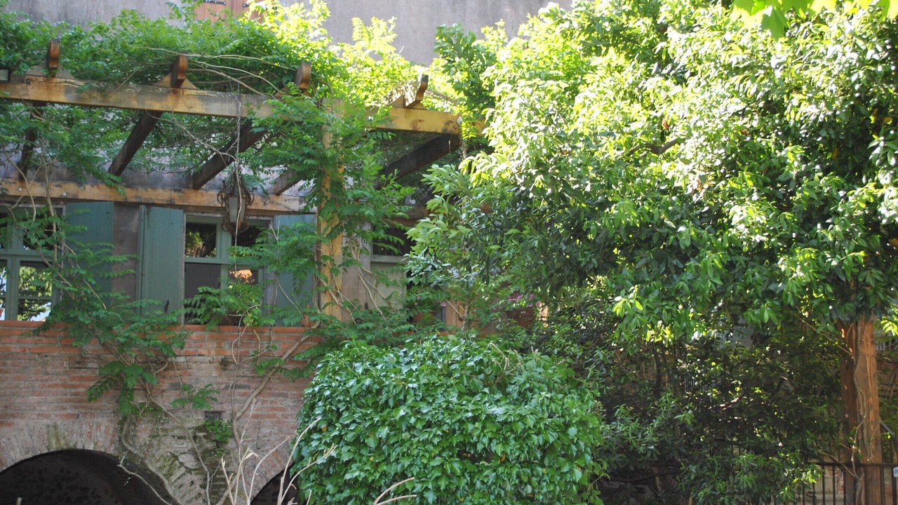 Photo of Outdoor in Palau-del-Vidre