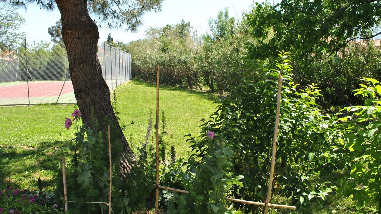Photo of Others in Palau-del-Vidre