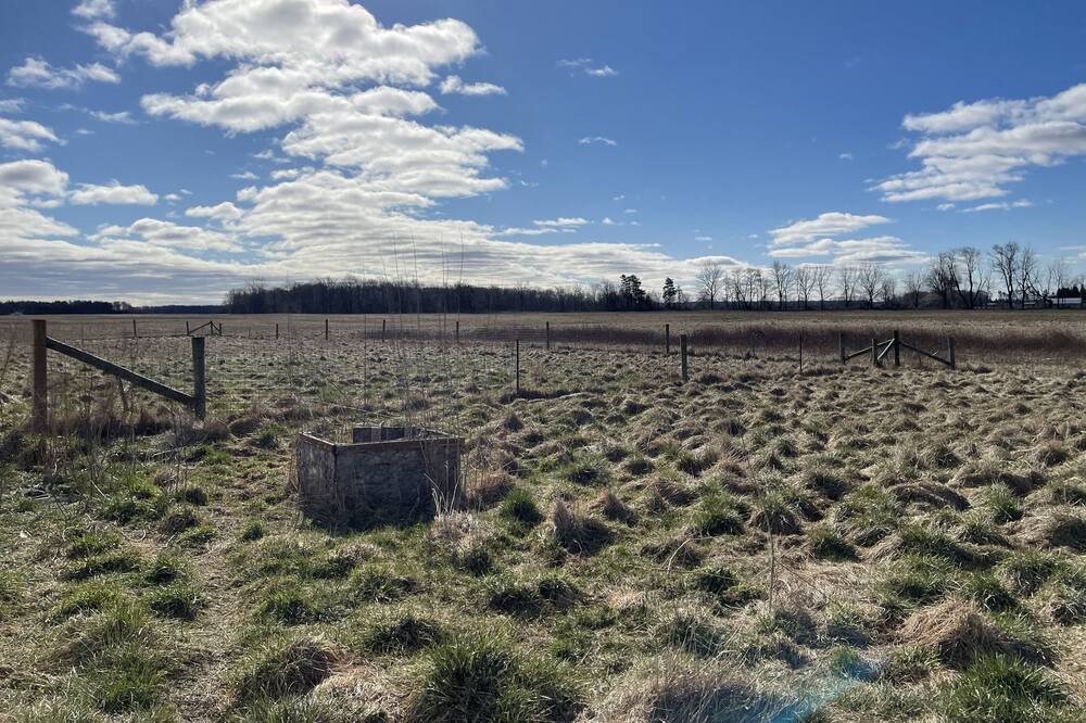 Photo of Outdoor in Bothwell