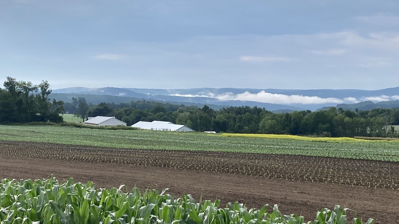 Photo of Outdoor in Richfield Springs