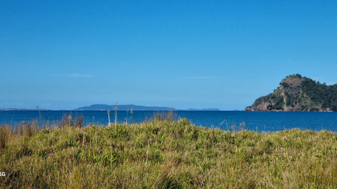 Photo of Outdoor in Kennedy Bay